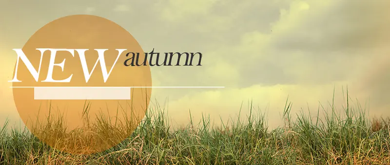 �＾����-������