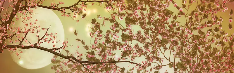 �＾ҹ�ձ���-������