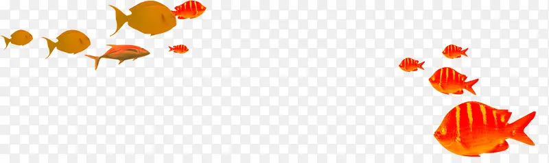 ��ɫ��ͨ��Ⱥ-������