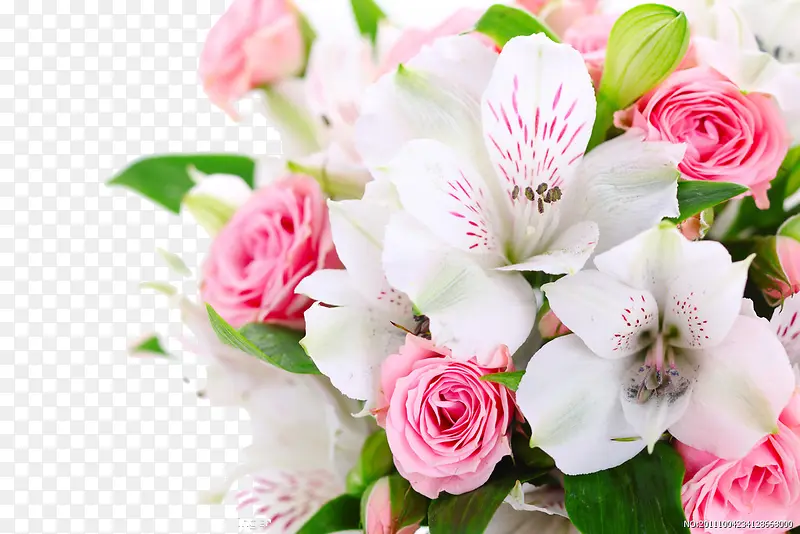 �ۺͰ�ɫ����-������