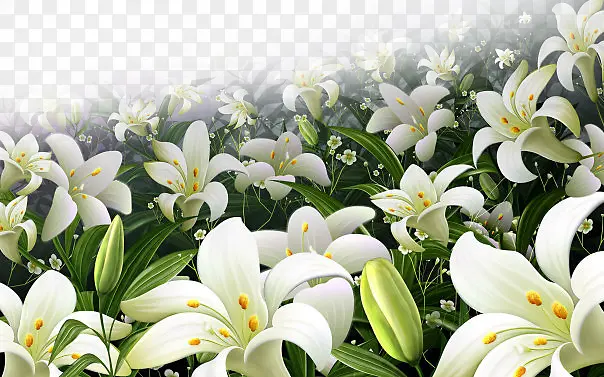 ��ɫ����-������