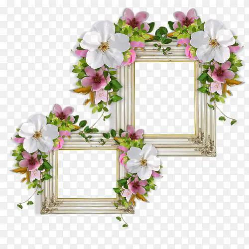 �ʻ��߿�-������