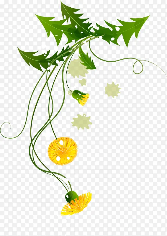 ��ɫ����ֲ��ɭϵ-������