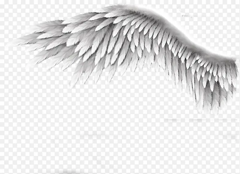 ��߳��-������