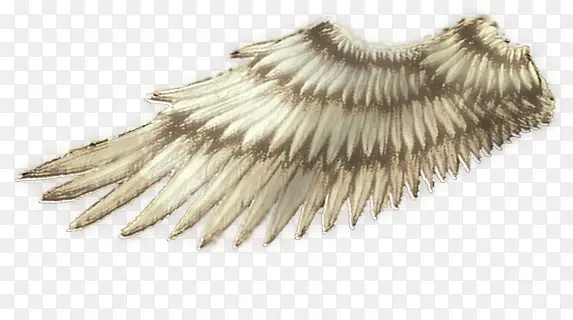 ��������-������