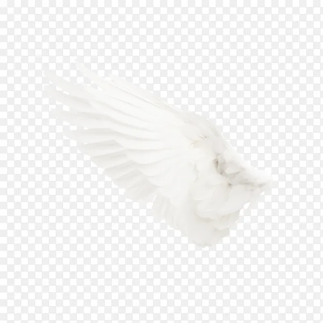 ���-������