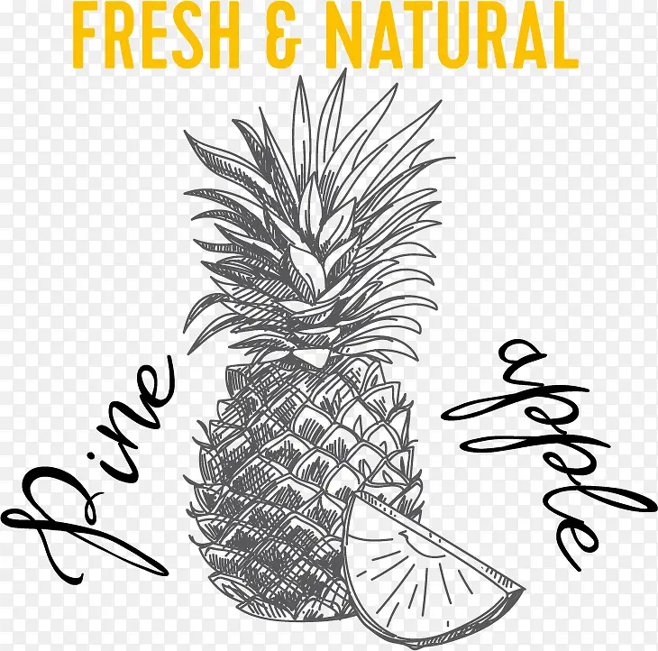 ��������pngʸ���ز�-������