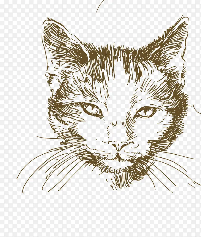 ��ͨ�ɰ�С����װ����ƶ���ͷ��-������