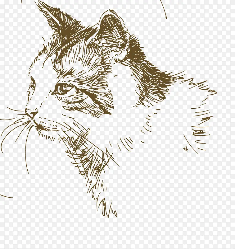 ��ͨ�ɰ�С����װ����ƶ���ͷ��-������