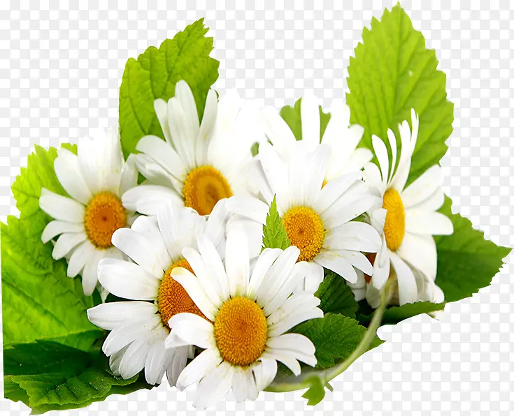 �ٻ�-������