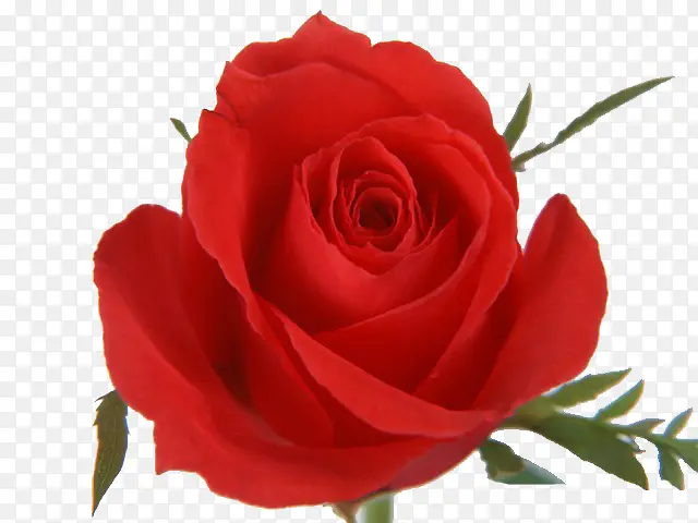 ����֮��-������