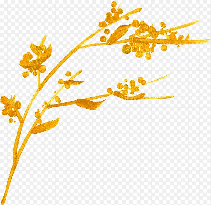 ��ɫ����-������