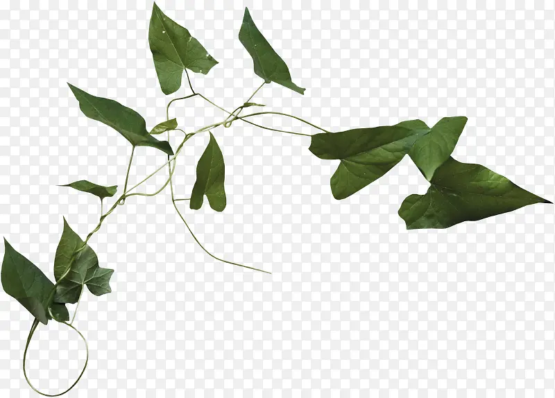 ��-������