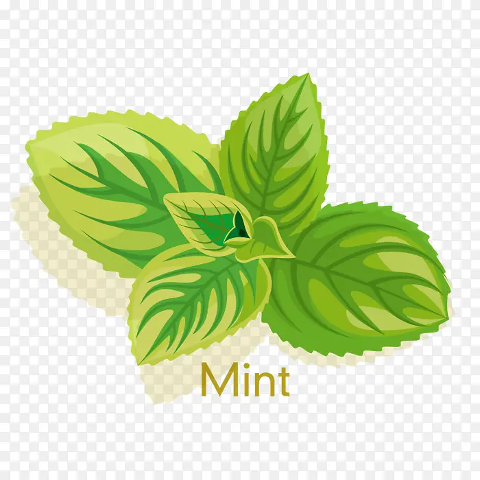 �ֻ污��-������