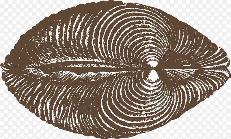 �ԳƵ����-������