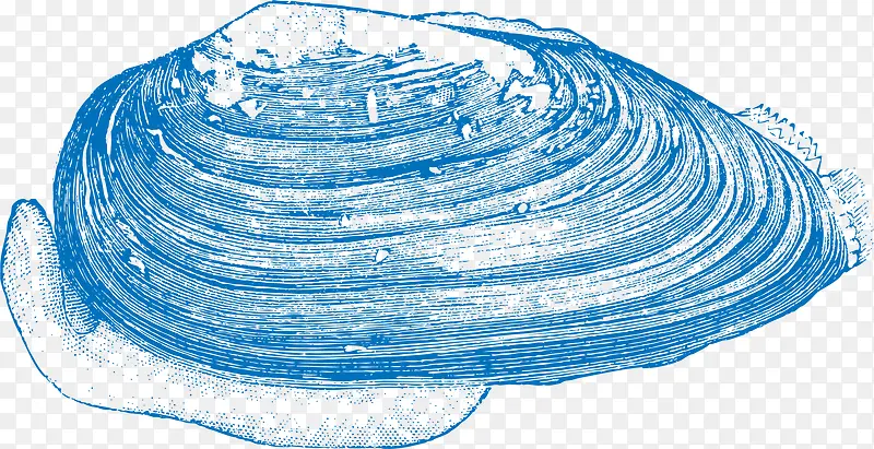 ��򺱴��-������