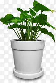 ������Ӱ����װ��ֲ������-������