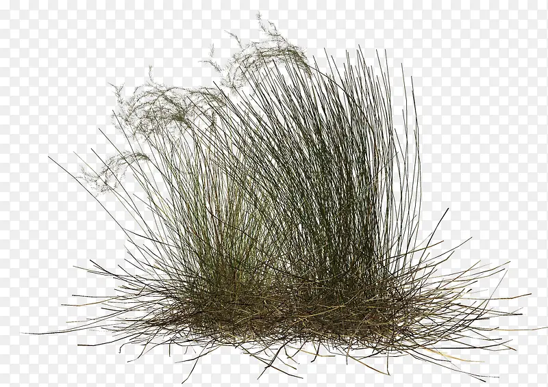 ��-������