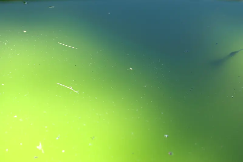 �λ�ˮ�Ʊ���-������