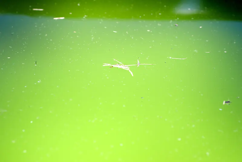 ˮ�Ʊ�������-������