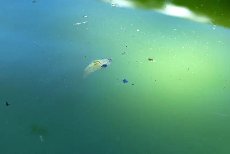 ��Ⱦ��ˮ�汳��-������