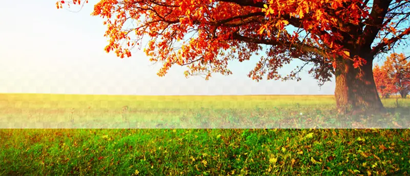 ��������ͼ-������