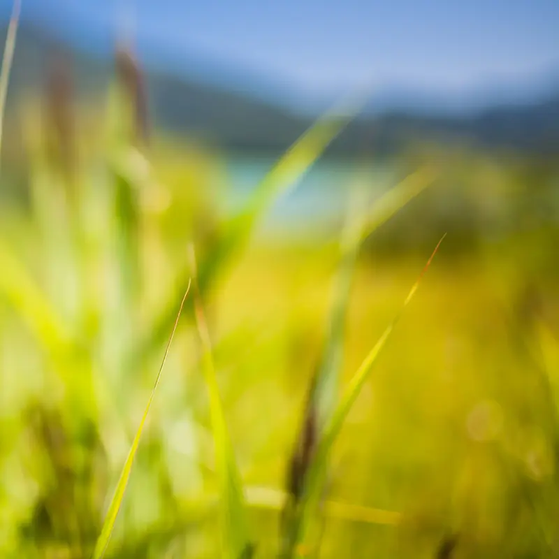 �λòݵر���-������