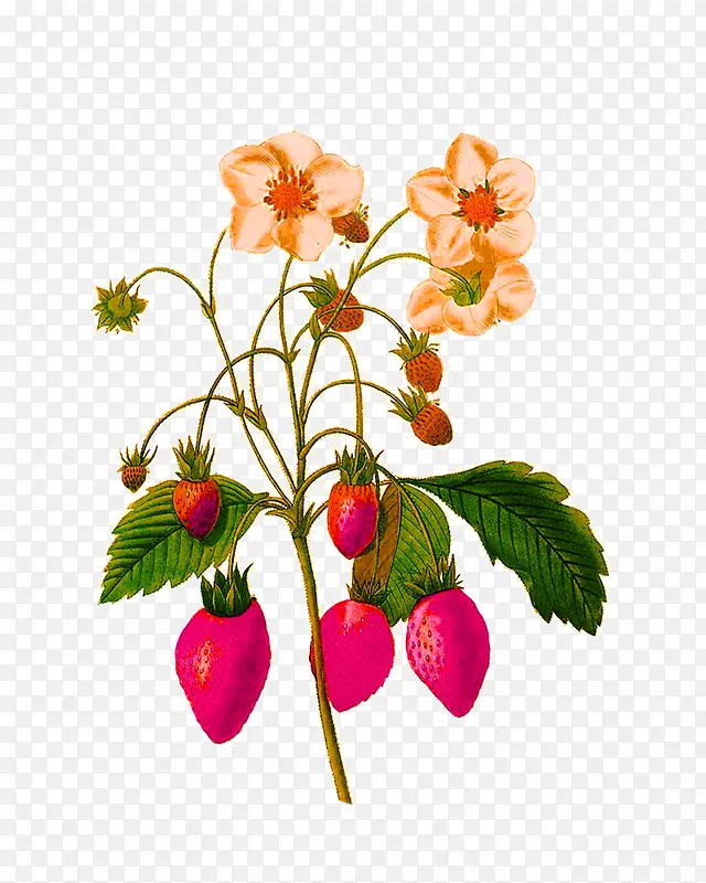 �ֻ�ˮ�ʻ���-������