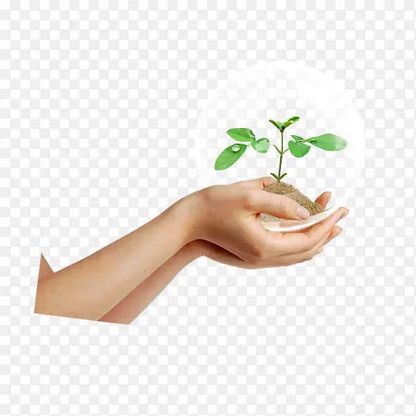 ����С��-������