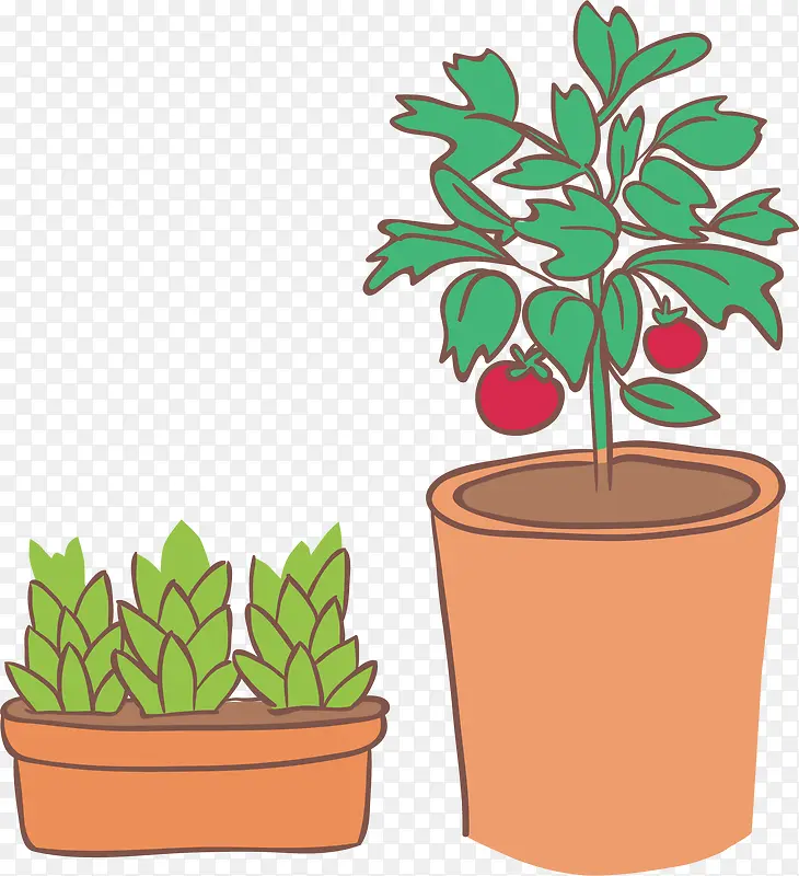 ���軨��ʵ-������