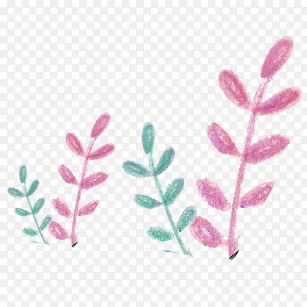 ��ɫ�ͷ�ɫ��С��-������