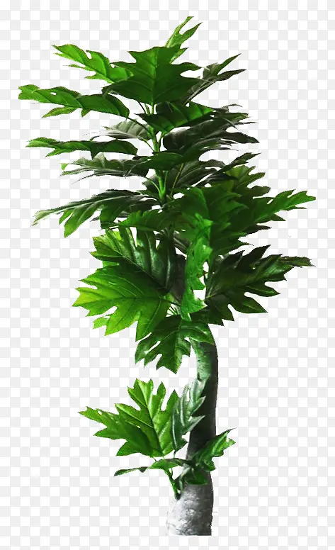 ���濧����ͼƬ�ز�-������