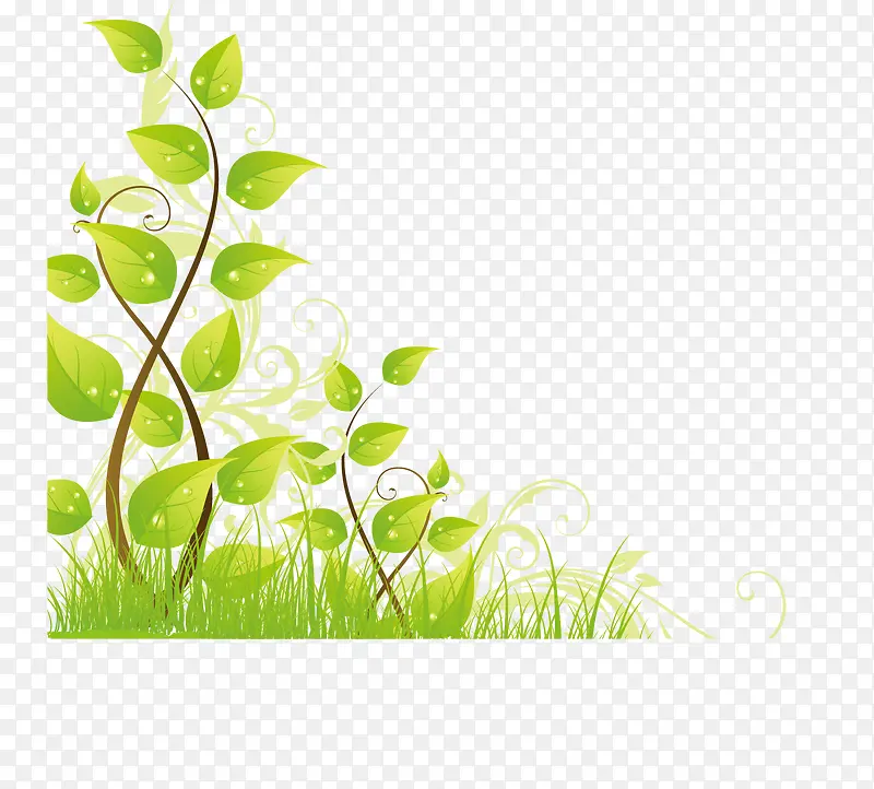 ��ľ��Ҷ С��-������