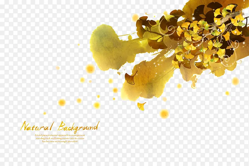 ˮ�ʻ�����Ҷ-������