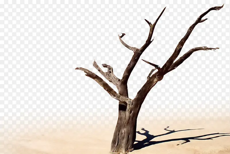 ����-������