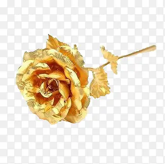 ��ɫõ��-������