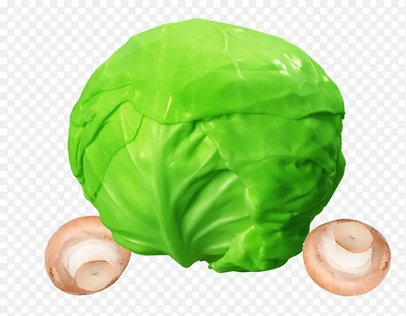 ���̰����㹽-������