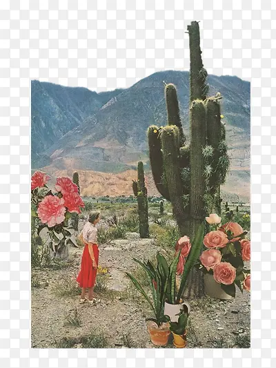 �廭-������