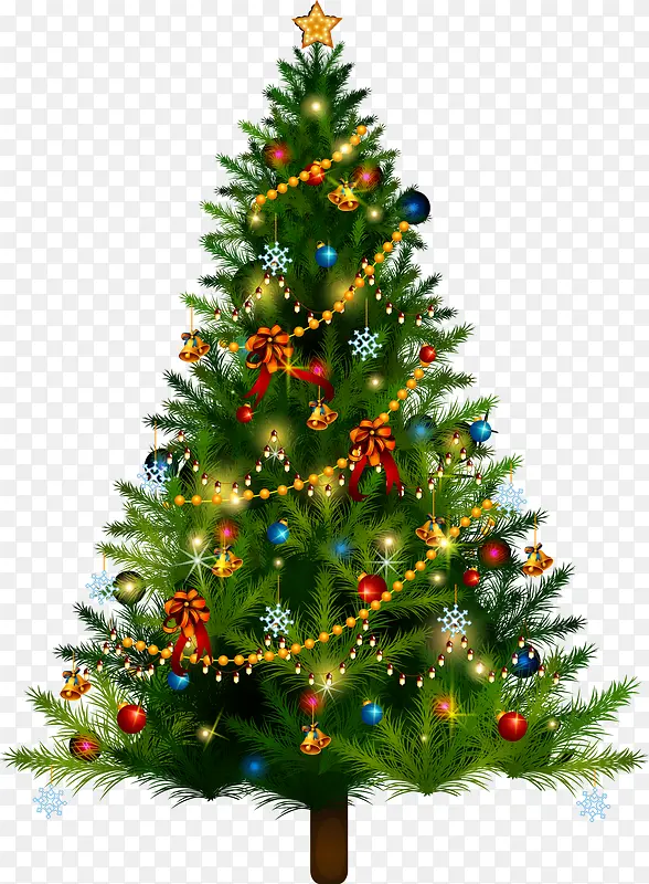 ʥ������ɫʥ����-������