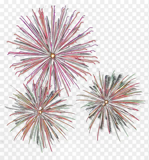 ��ɫ����ʢ���̻�-������