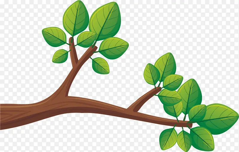 ʸ��ͼˮ����֦�ϵ�Ҷ��-������