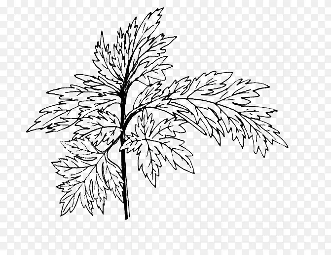 �ֻ氬Ҷ��-������