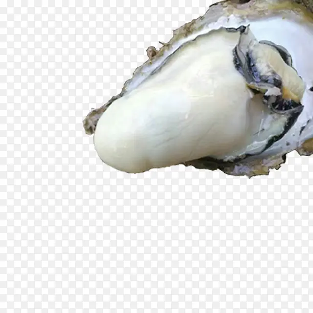 ���PNGͼƬ-������