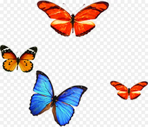 ��ɫ�����걾�Ա�����-������