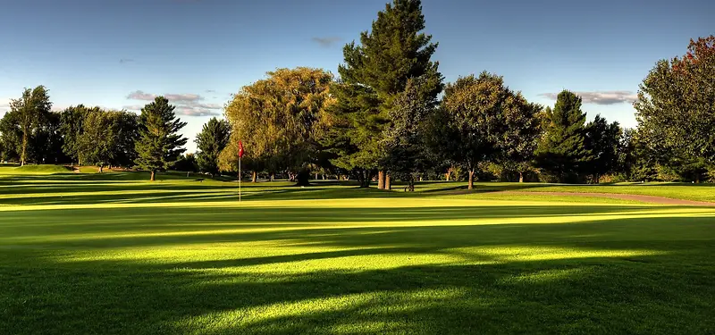 �߶�������Ӱ-������