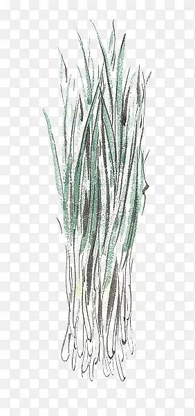 �ֻ�²�-������