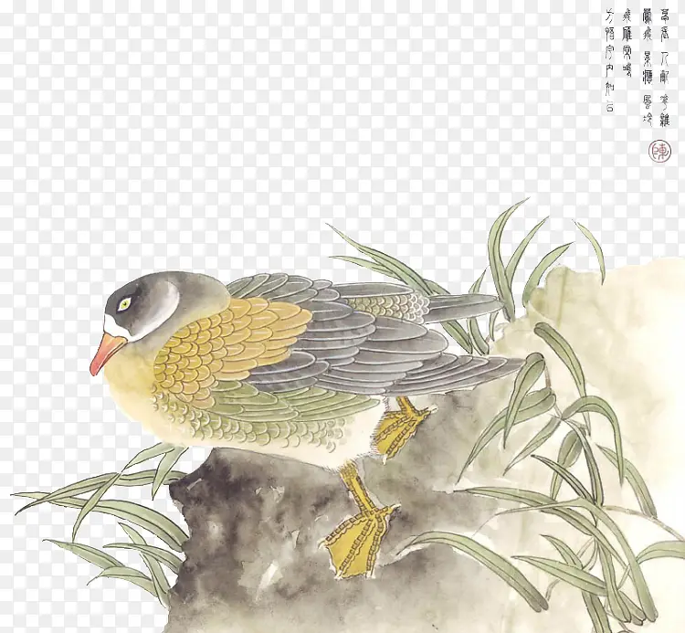 Ѽ��-������