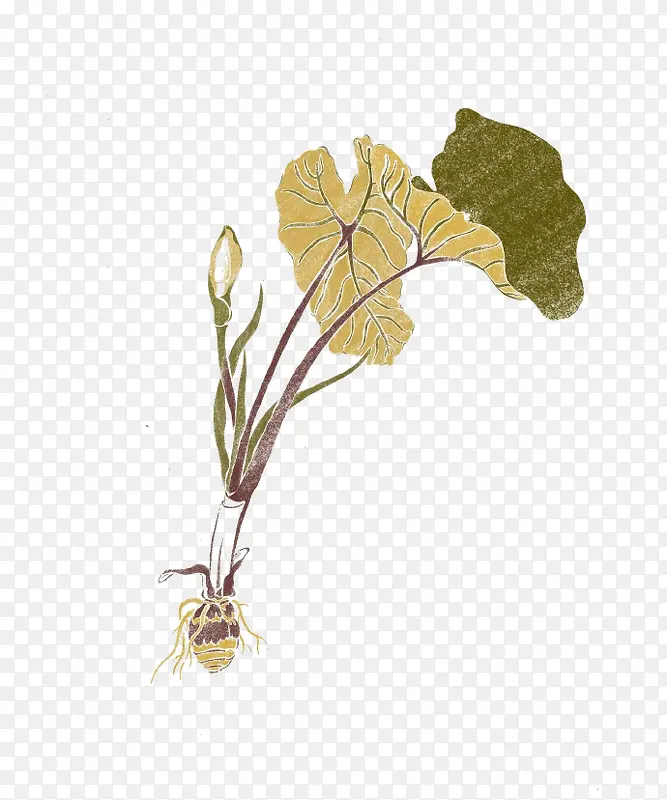 �ֻ�ˮ�ʲ廭��ͷ-������