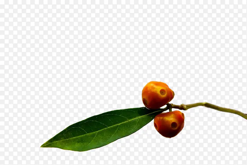 �ȴ�ˮ��-������