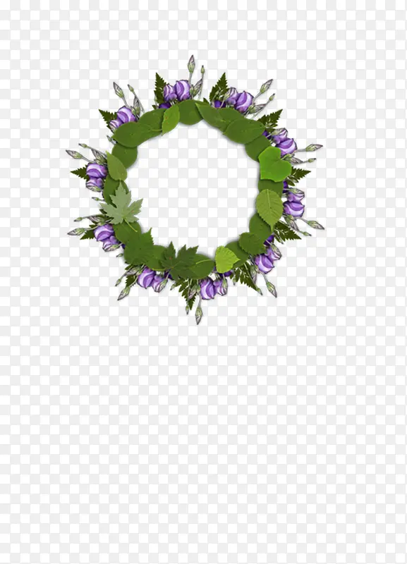 �ʻ�����-������